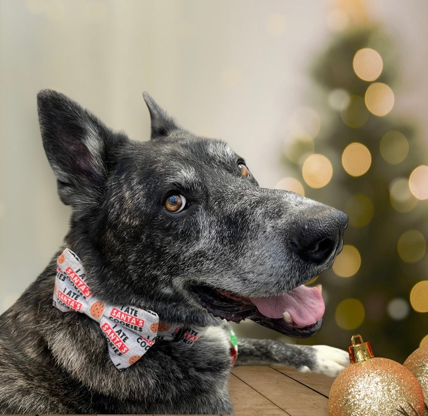 "I Ate Santa's Cookies" Bowtie