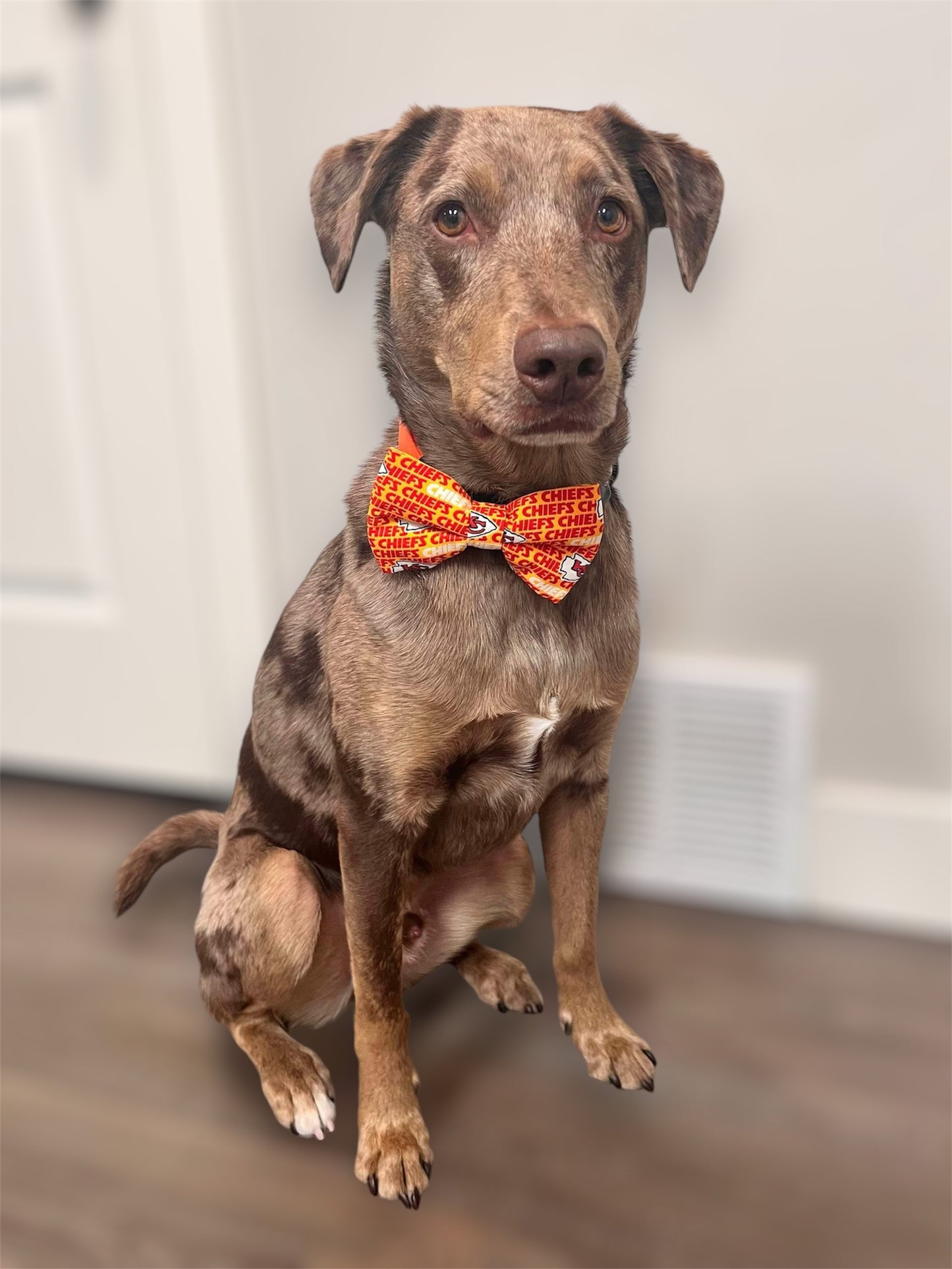 Chiefs (yellow) Bow tie