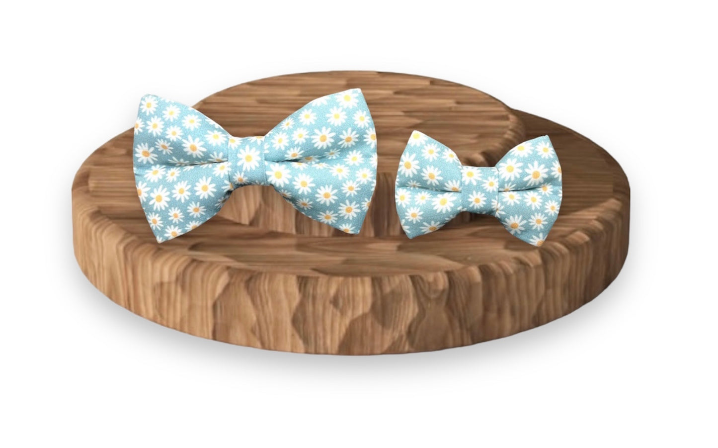 Daisey Bowtie