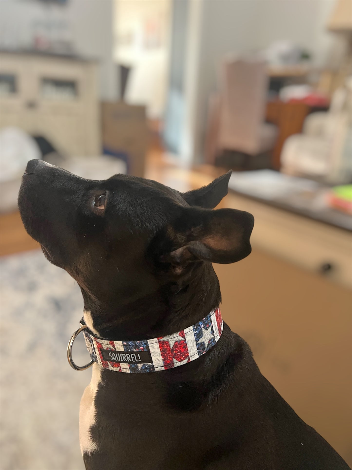 Patriot Collar