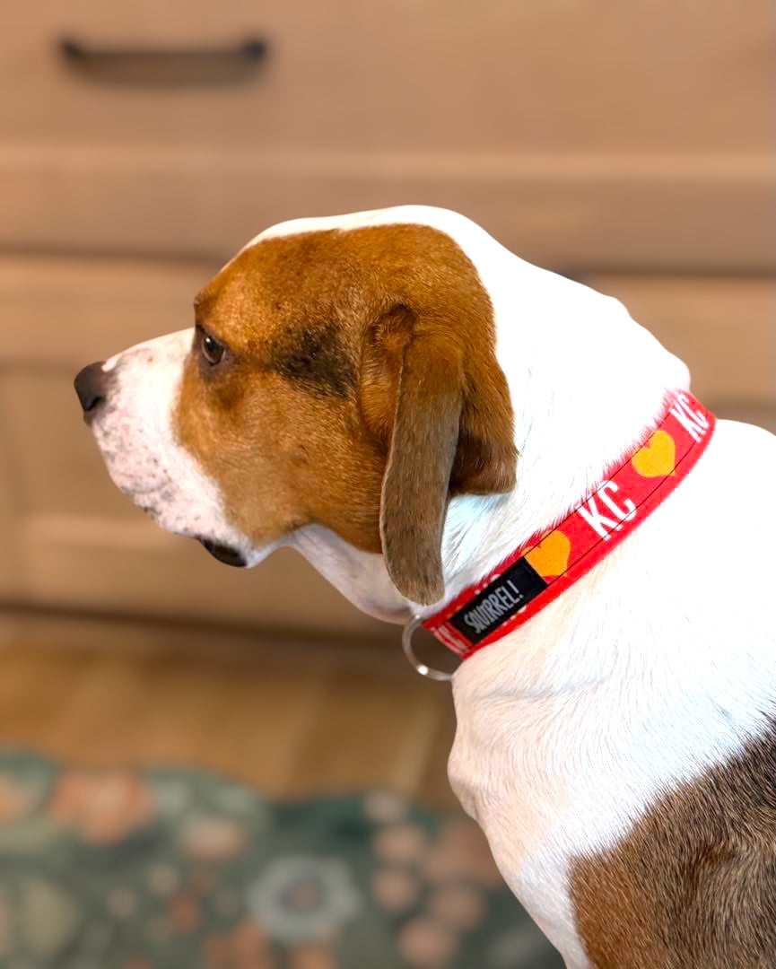 Kansas City Heart (Red) Collar