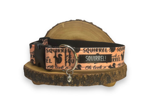 Oh look a Squirrel Collar