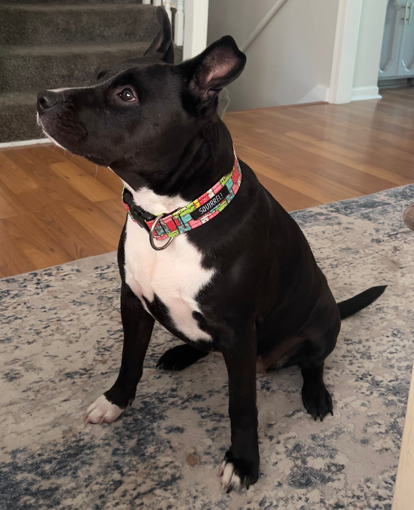 Patches Collar