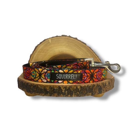 Kaleidoscope Leash