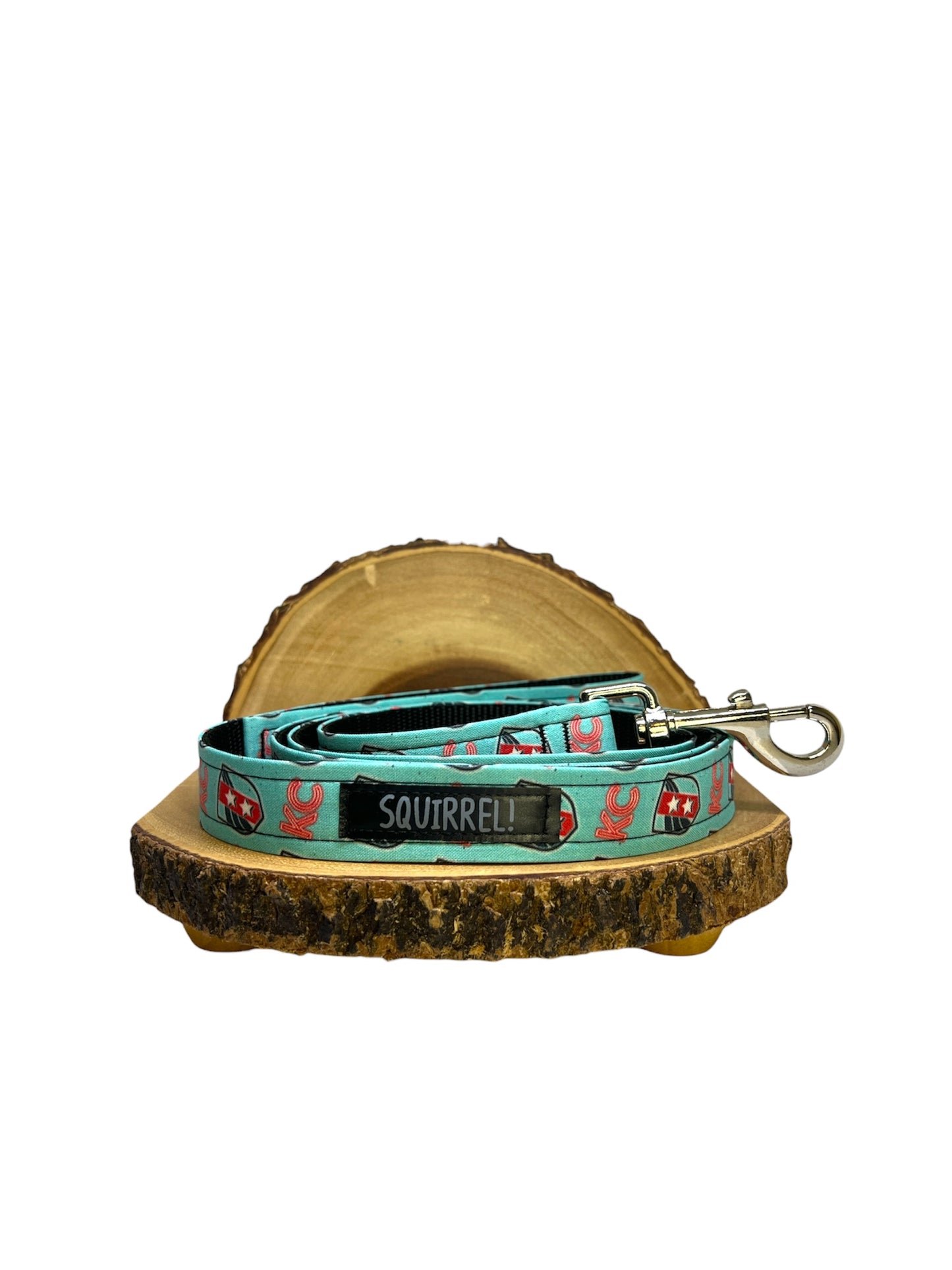 Current (Teal) Shield Leash