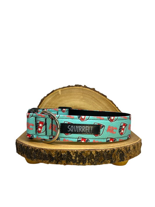 Current (Teal) Sheild Collar